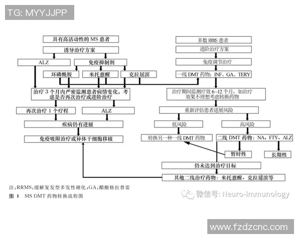 广州极限运动队的防守与反击策略分析及其成效评估