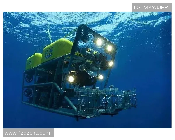 高科技棒球装备的创新与应用前景