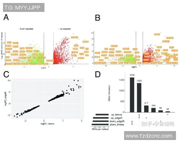 深入探讨上海乒乓球队员个人能力差异及其对团队表现的影响分析 深入探讨上海乒乓球队员个人能力差异及其对团队表现的影响分析