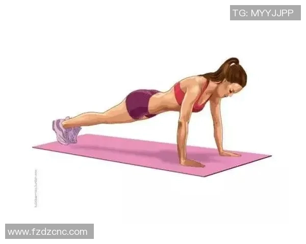 腰腹部健身器材的选择与锻炼效果分析