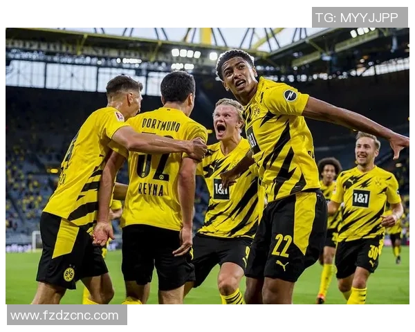 黄黑军团德甲备战日志 聚焦体能储备与战术演练的双重推进与协同作战