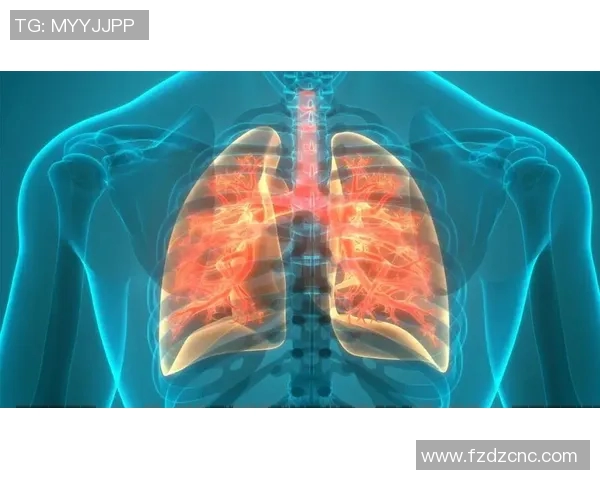 心肺功能在运动健康中的核心作用与提升策略分析