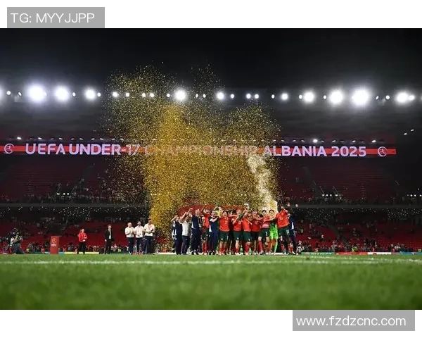 北爱尔兰迎战奥地利足球盛宴即将上演球迷期待精彩对决